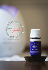 Drops of Faith_valor_love this oil_chiro_nerve_spine_0049_600px