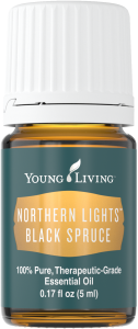 Northern Lights Black Spruce