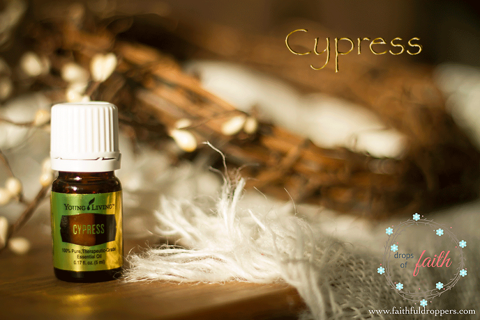 golden bottle of Cypress in front of a crown of thorns