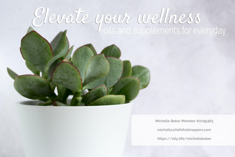 Elevate Your Wellness