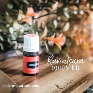 Ravintsara free oil at 190 pv on essential rewards, Young Living essential oils