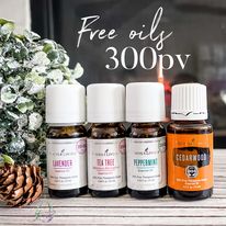 January free oils with purchase at 300 pv level include the Young Living Seed to Seal Storybook Collection and a 15ml of Cedarwood